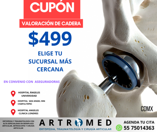 cirugia de cadera